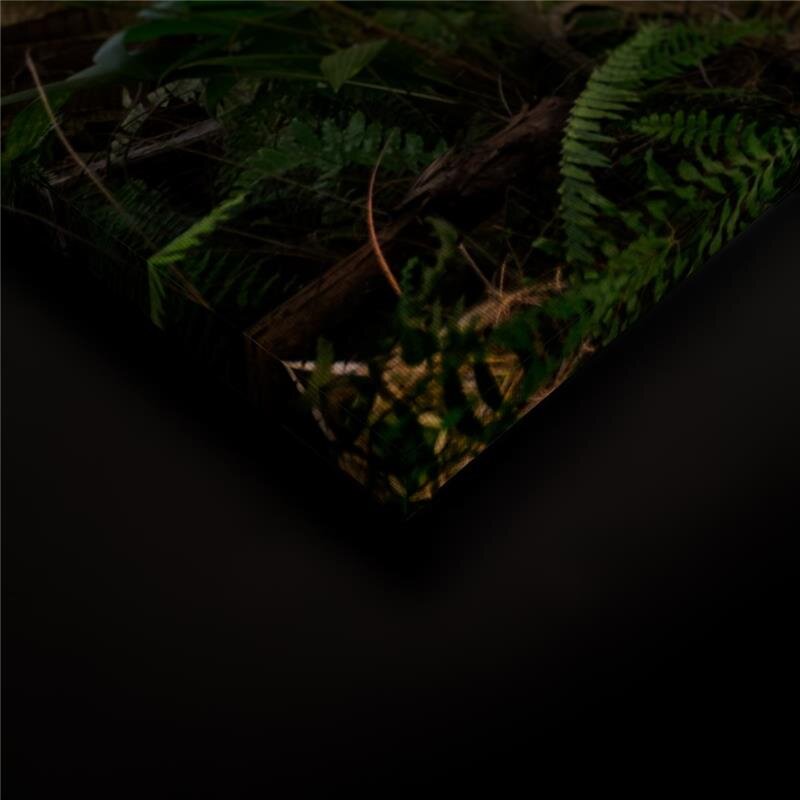 A.S. Création Leinwandbild PalmWalk Größe 90cm x 60cm