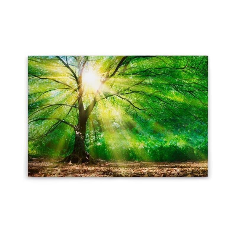 A.S. Création Leinwandbild ForestLight Größe 90cm x 60cm
