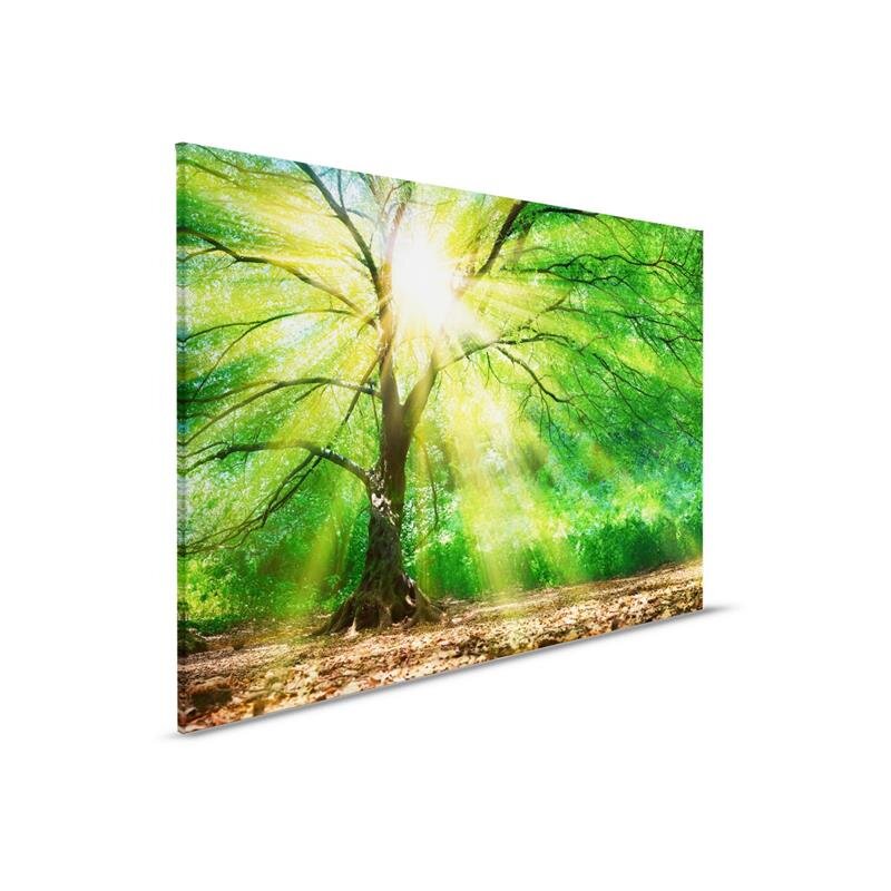 A.S. Création Leinwandbild ForestLight Größe 90cm x 60cm