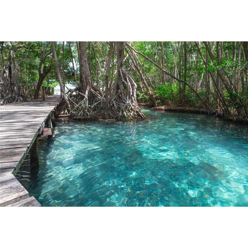 A.S. Création Leinwandbild DschunglePath Größe 90cm x 60cm