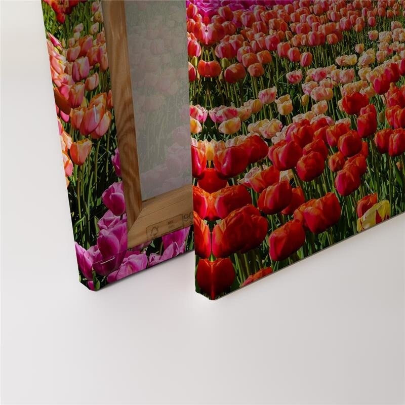 A.S. Création Leinwandbild ZaanseSchans Größe 90cm x 60cm