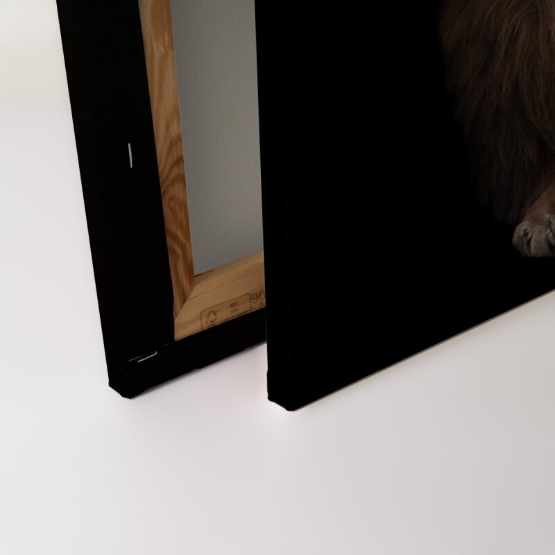 A.S. Création Leinwandbild wildlife2 Größe 90cm x 60cm