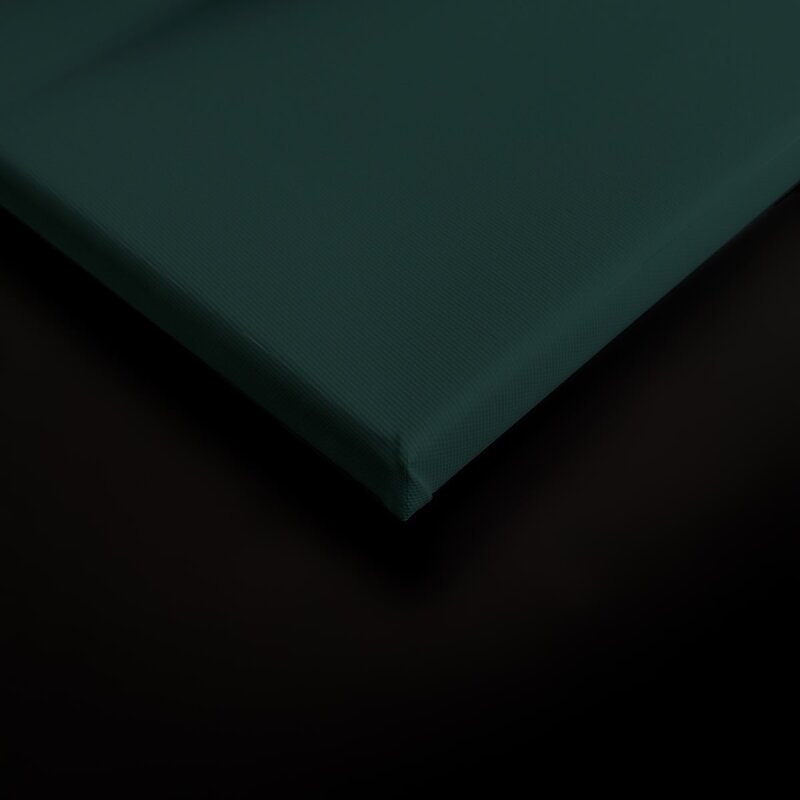 A.S. Création Leinwandbild mustang2 Größe 90cm x 60cm