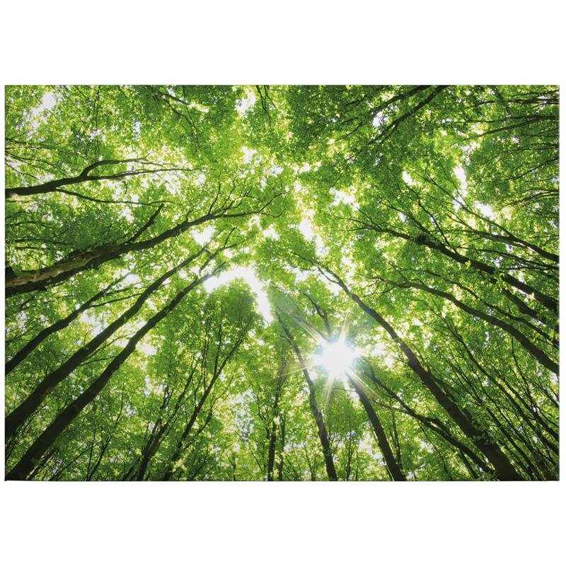 A.S. Création Leinwandbild TreetopsForest Größe 70cm x 50cm