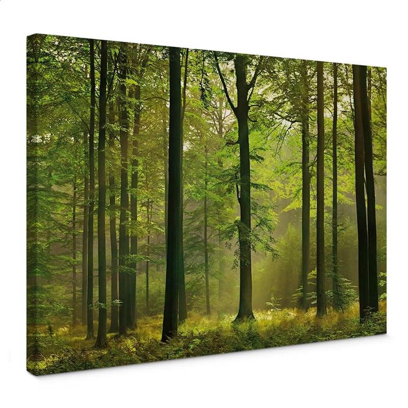 A.S. Création Leinwandbild Autumn Forest Größe 70cm x 50cm
