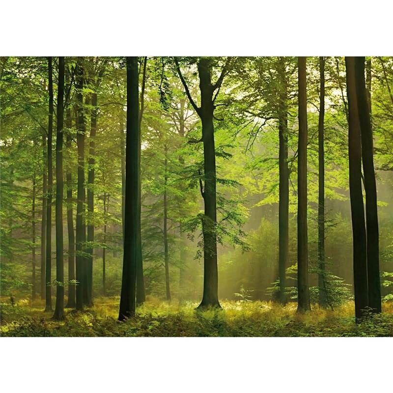 A.S. Création Leinwandbild Autumn Forest Größe 70cm x 50cm