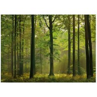 A.S. Cr&eacute;ation Leinwandbild Autumn Forest...