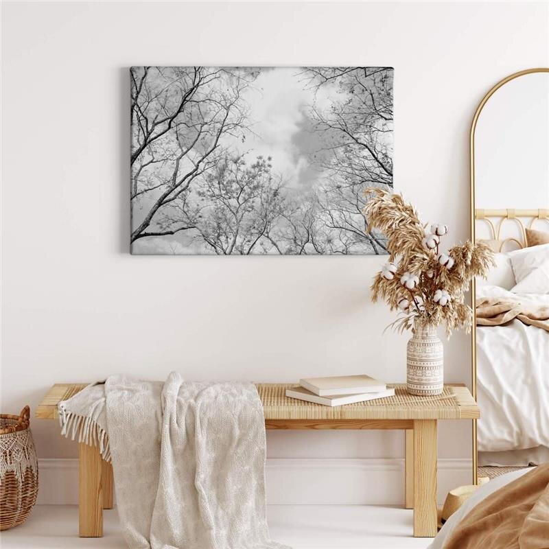 A.S. Création Leinwandbild Tree tops Größe 70cm x 50cm