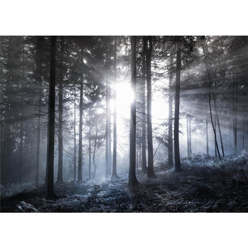 A.S. Création Leinwandbild Sun rays Größe 70cm x 50cm