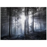 A.S. Cr&eacute;ation Leinwandbild Sun rays...