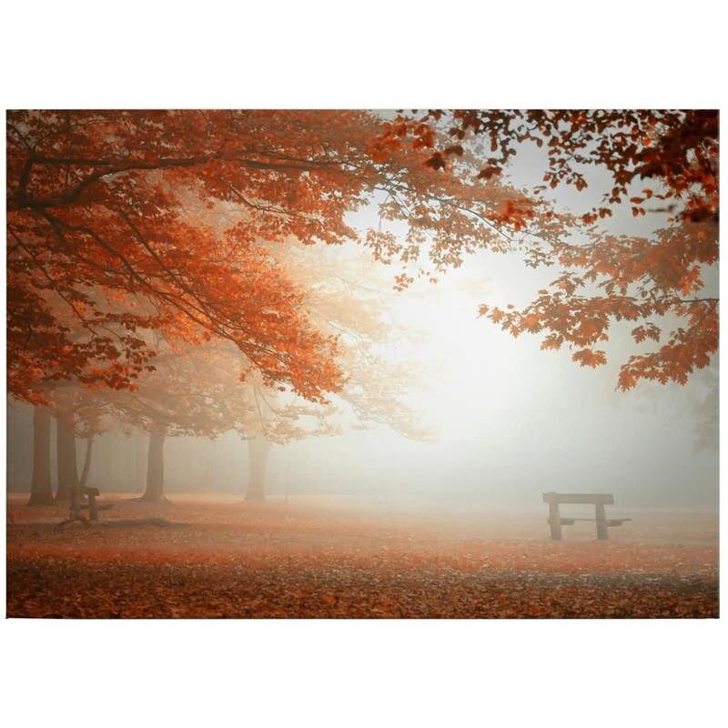 A.S. Création Leinwandbild ForestAtRest Größe 70cm x 50cm