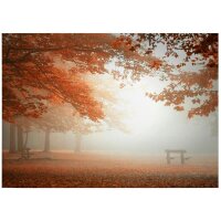 A.S. Cr&eacute;ation Leinwandbild ForestAtRest...