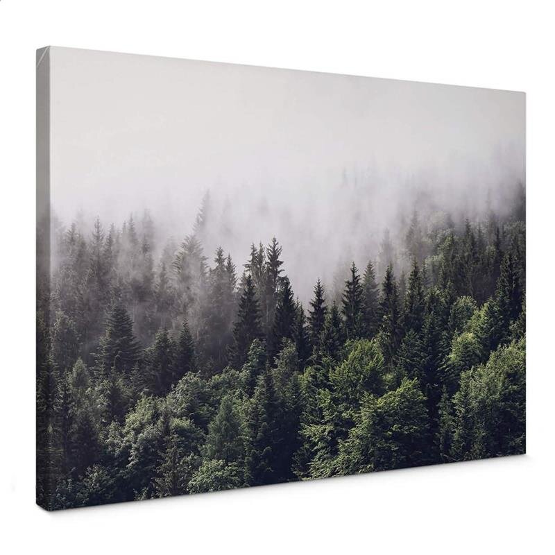 A.S. Création Leinwandbild Foggy Forest Größe 70cm x 50cm