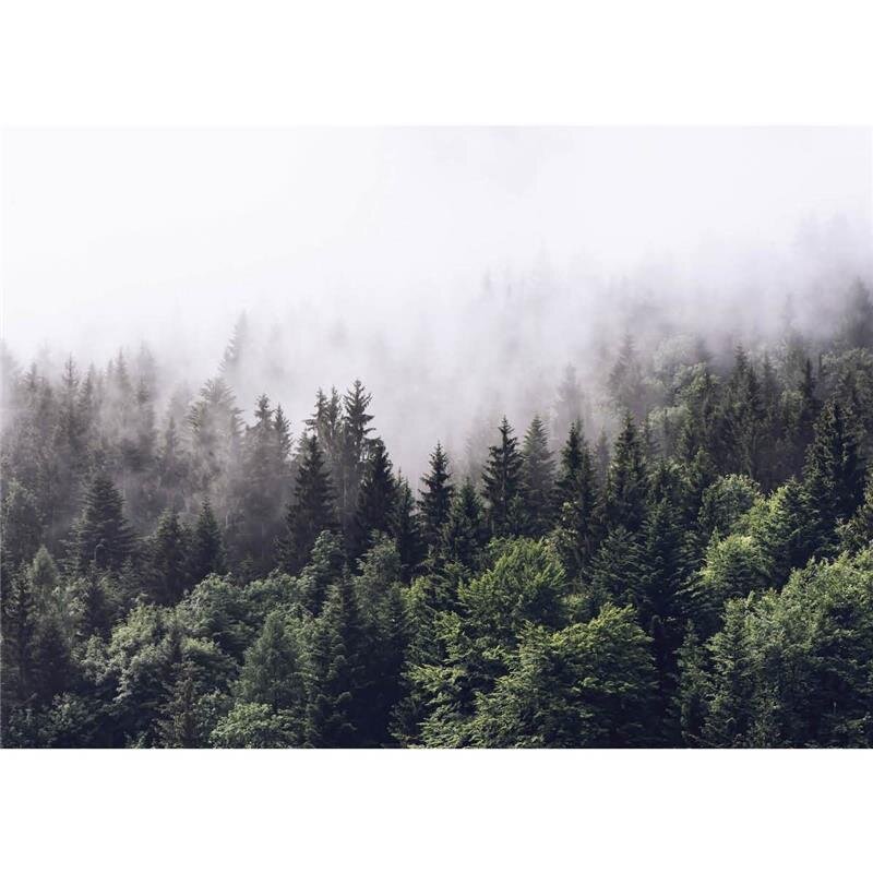 A.S. Création Leinwandbild Foggy Forest Größe 70cm x 50cm