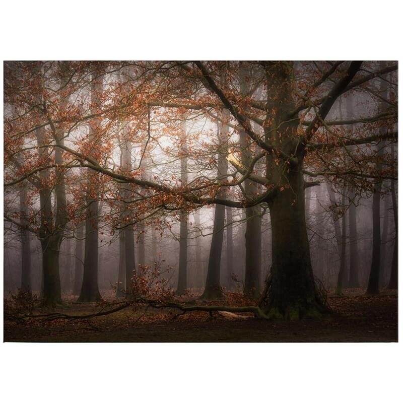 A.S. Création Leinwandbild Dingemans Größe 70cm x 50cm