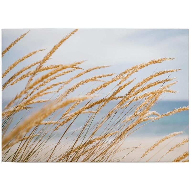 A.S. Création Leinwandbild Dune grass Größe 70cm x 50cm