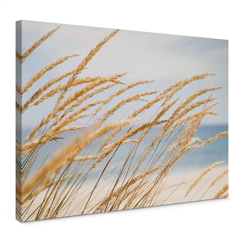 A.S. Création Leinwandbild Dune grass Größe 70cm x 50cm