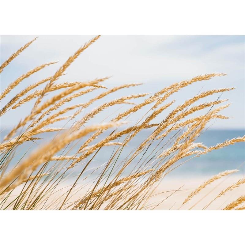 A.S. Création Leinwandbild Dune grass Größe 70cm x 50cm