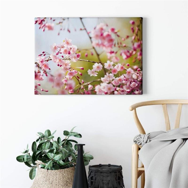 A.S. Création Leinwandbild CherryBlossoms Größe 70cm x 50cm