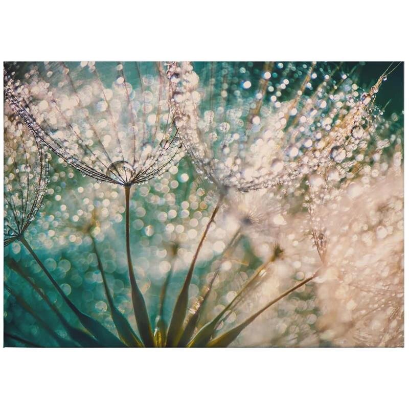 A.S. Création Leinwandbild Delgado Größe 70cm x 50cm