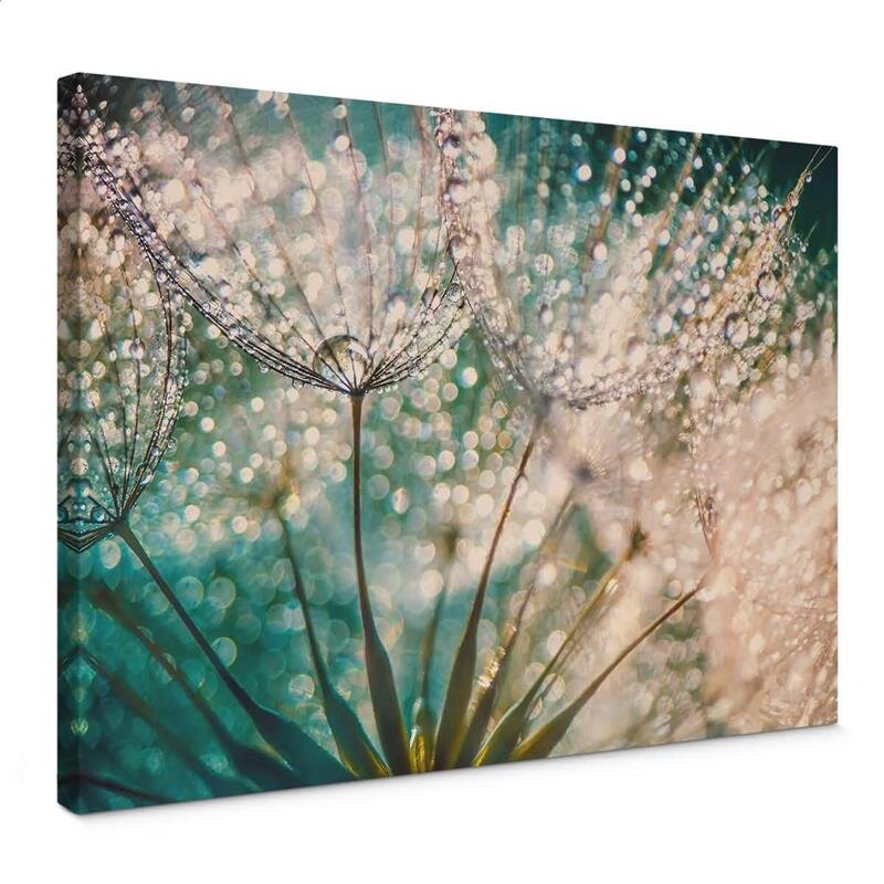 A.S. Création Leinwandbild Delgado Größe 70cm x 50cm