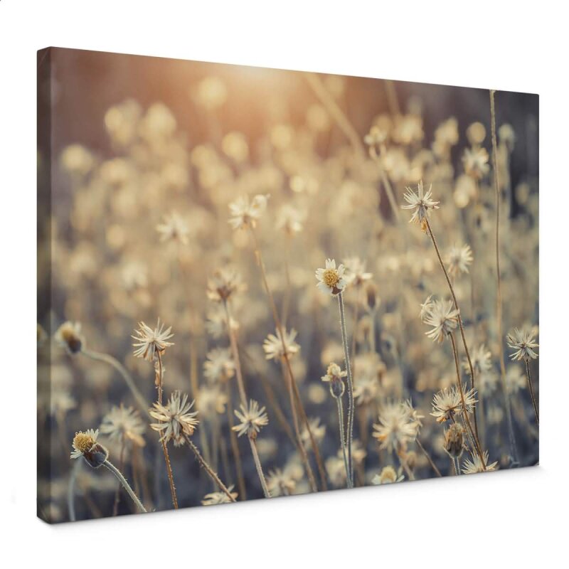 A.S. Création Leinwandbild Mexican Daisy Größe 70cm x 50cm