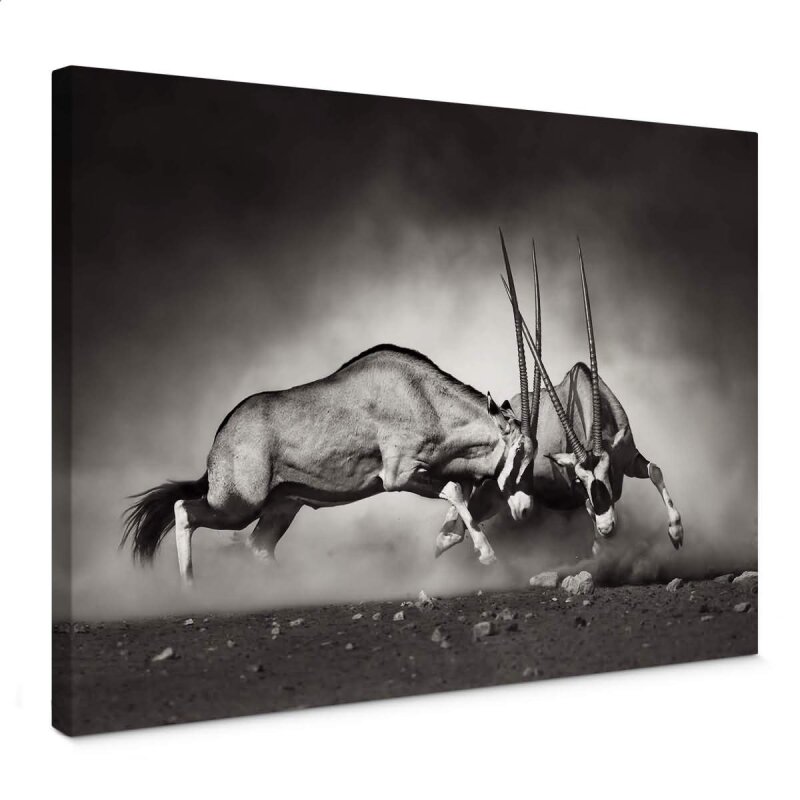 A.S. Création Leinwandbild Duel Größe 70cm x 50cm