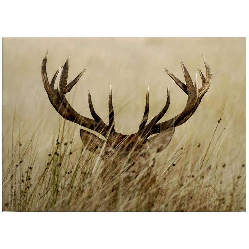 A.S. Création Leinwandbild Watchful deer Größe 70cm x 50cm