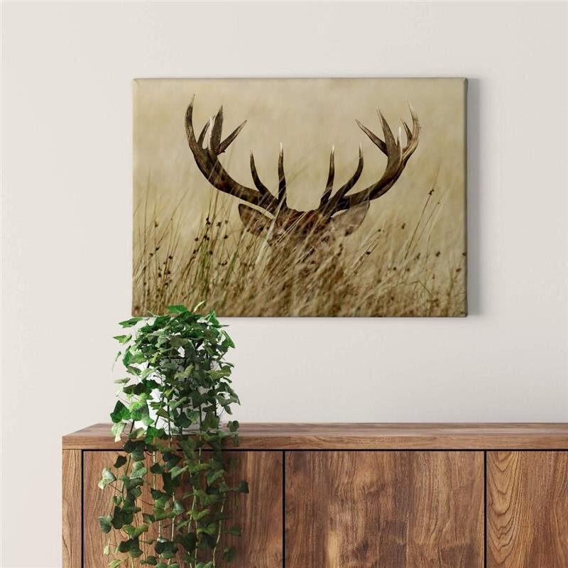 A.S. Création Leinwandbild Watchful deer Größe 70cm x 50cm