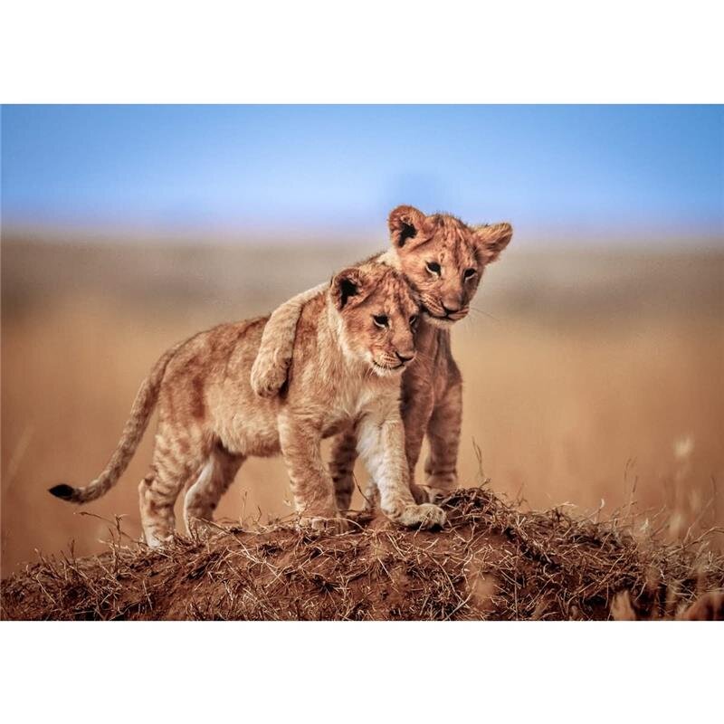 A.S. Création Leinwandbild Brothers Größe 70cm x 50cm