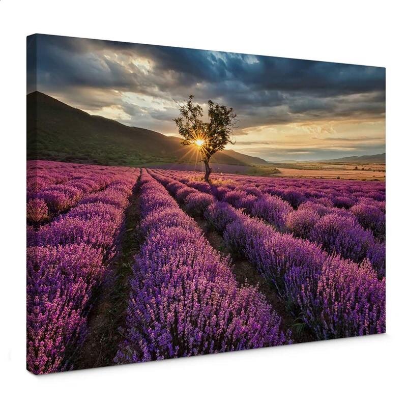 A.S. Création Leinwandbild LavenderFields Größe 70cm x 50cm