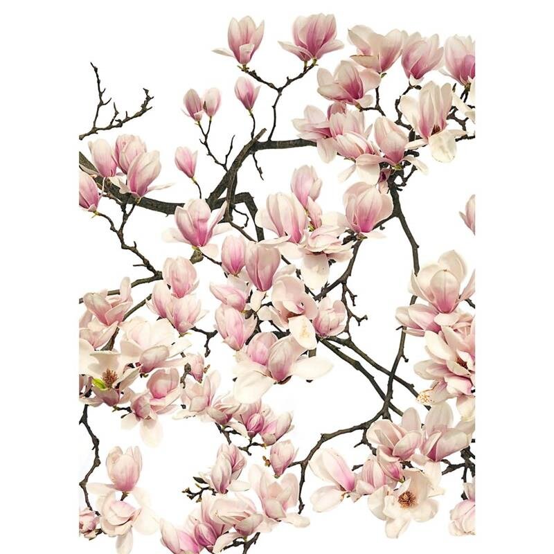 A.S. Création Leinwandbild Flora Magnolia Größe 50cm x 70cm