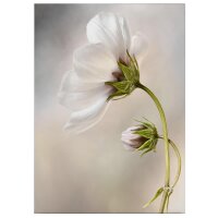 A.S. Cr&eacute;ation Leinwandbild Cosmos Gr&ouml;&szlig;e...