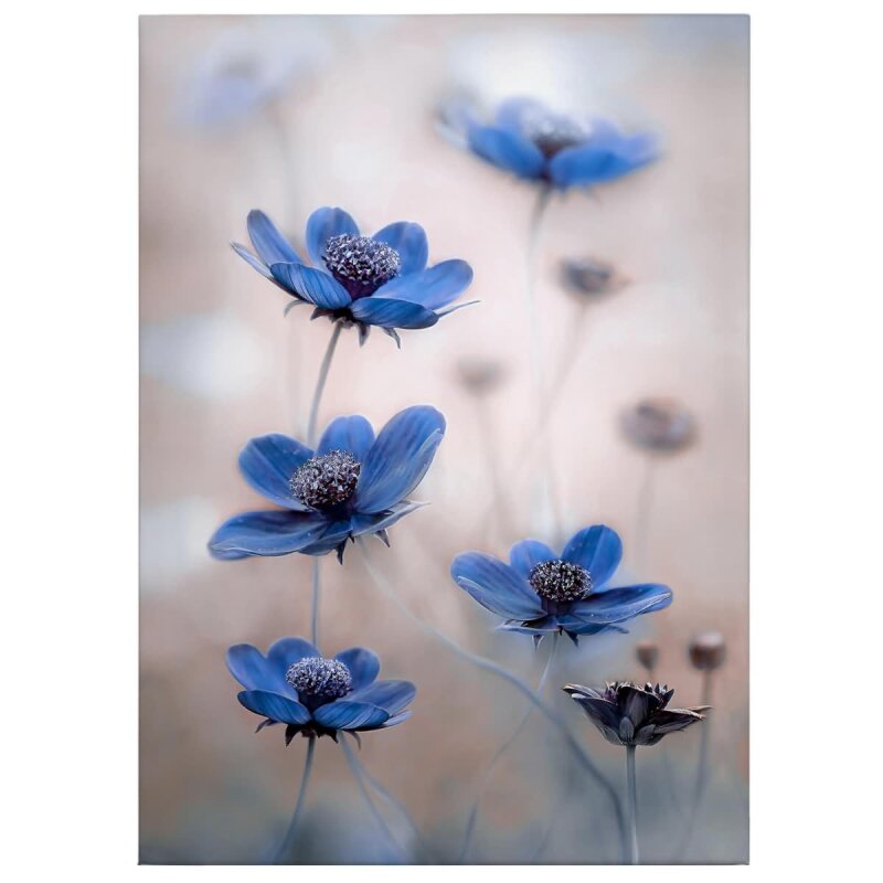 A.S. Création Leinwandbild Blue Cosmos Größe 50cm x 70cm