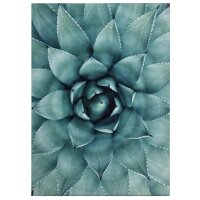 A.S. Cr&eacute;ation Leinwandbild Agave 02...