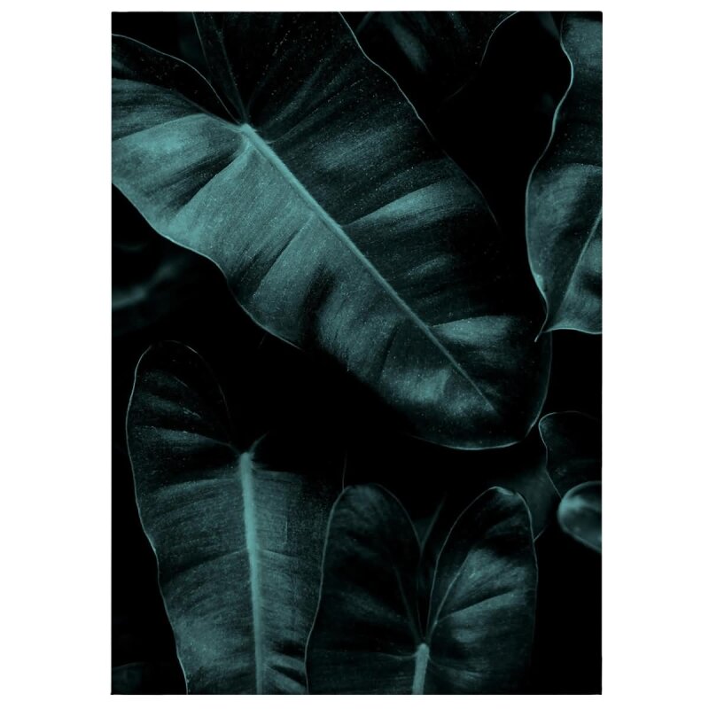 A.S. Création Leinwandbild Jungle Größe 50cm x 70cm