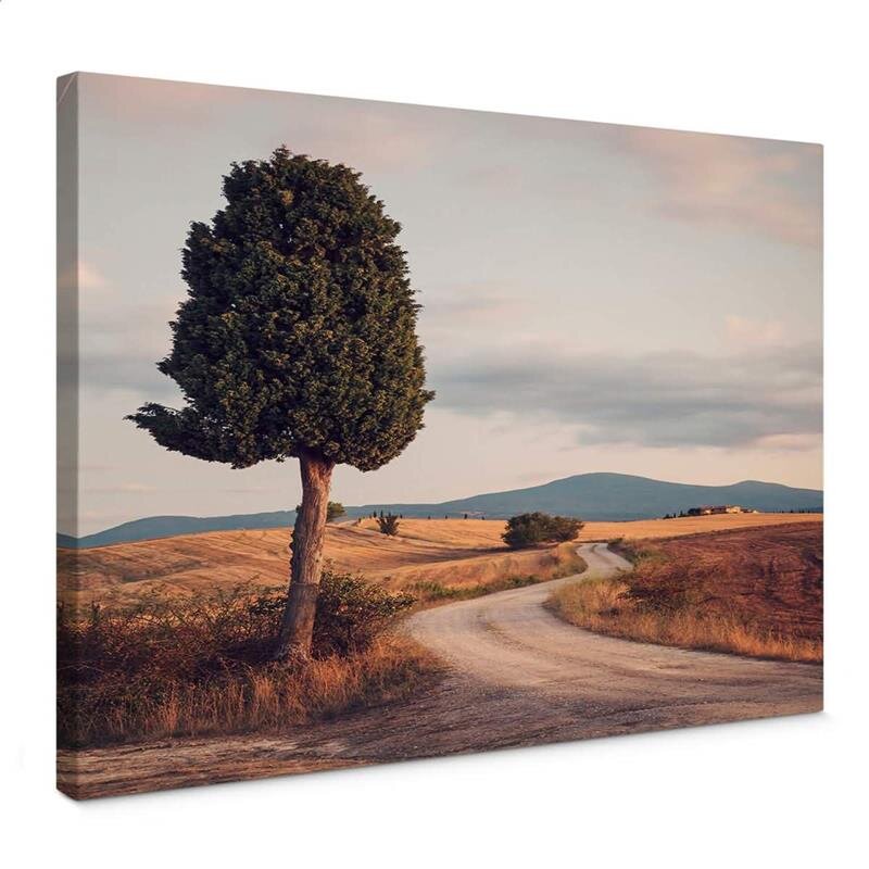 A.S. Création Leinwandbild Cypress Road Größe 50cm x 70cm