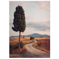 A.S. Cr&eacute;ation Leinwandbild Cypress Road...