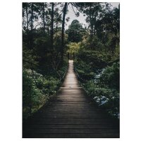 A.S. Cr&eacute;ation Leinwandbild Forest Road...