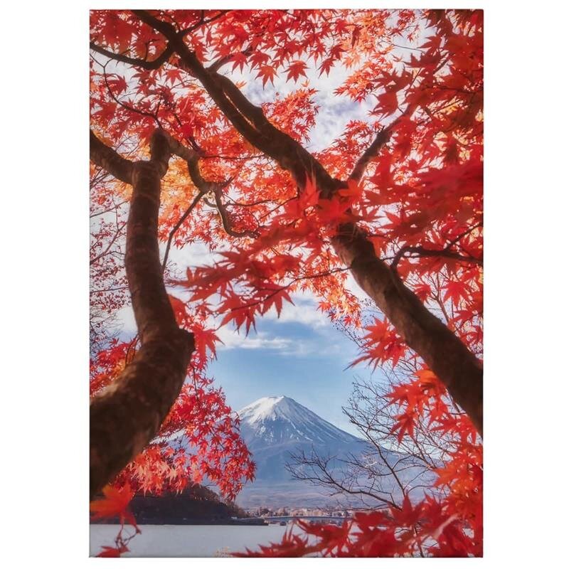 A.S. Création Leinwandbild Red leaves Größe 50cm x 70cm