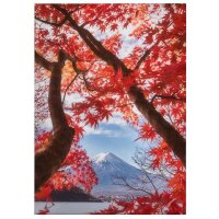 A.S. Cr&eacute;ation Leinwandbild Red leaves...