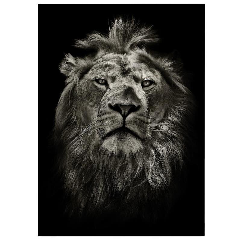 A.S. Création Leinwandbild Lion Größe 50cm x 70cm