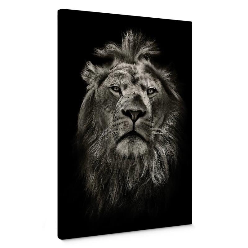 A.S. Création Leinwandbild Lion Größe 50cm x 70cm