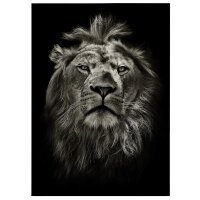 A.S. Cr&eacute;ation Leinwandbild Lion Gr&ouml;&szlig;e...