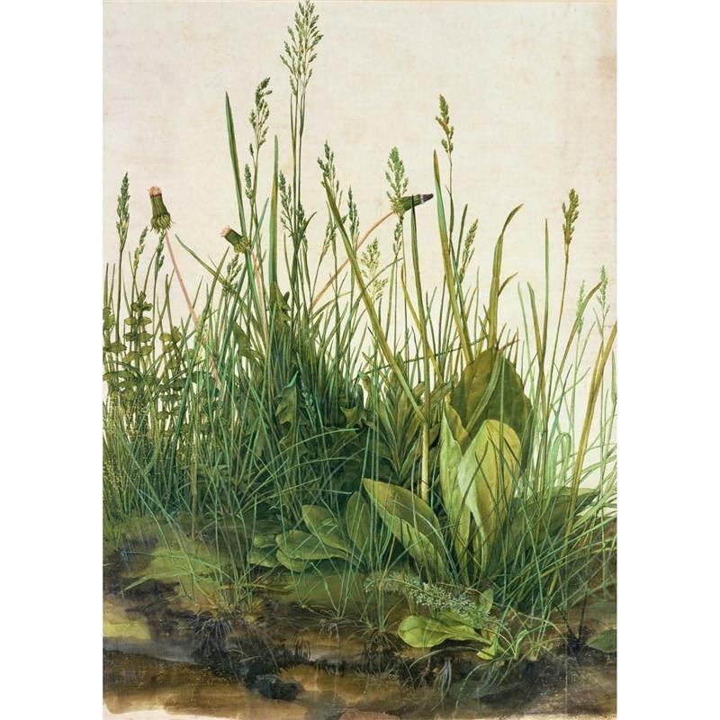 A.S. Création Leinwandbild The great lawn Größe 50cm x 70cm