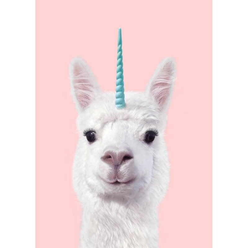 A.S. Création Leinwandbild Alpaca Unicorn Größe 50cm x 70cm