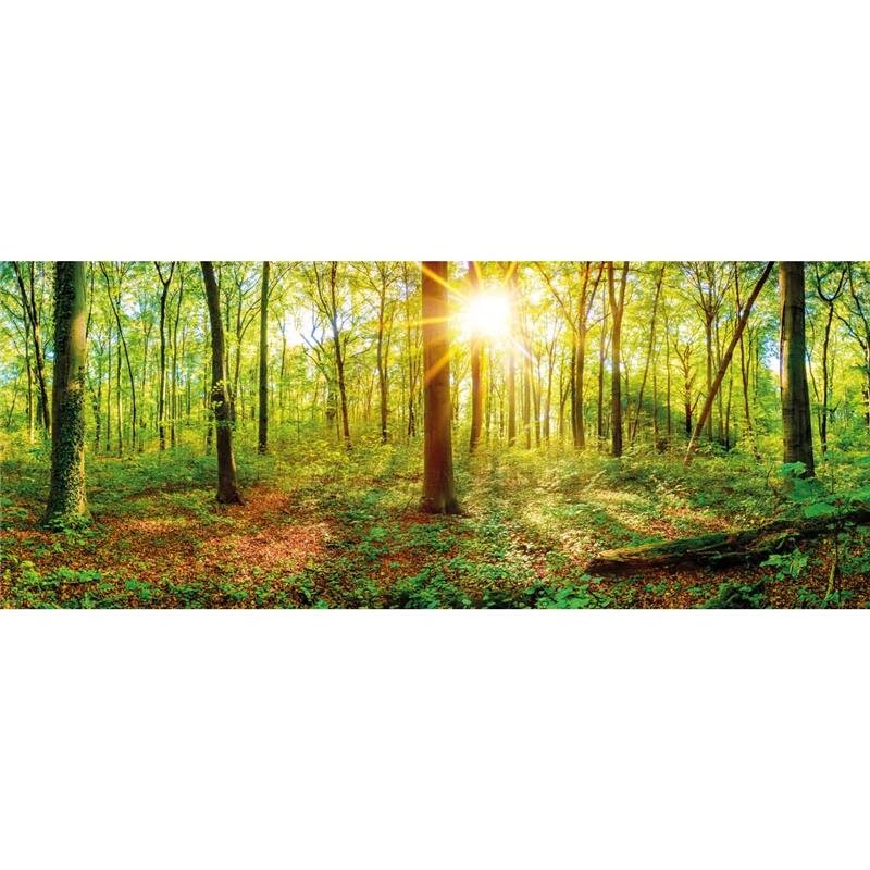 A.S. Création Leinwandbild Deep forest Größe 100cm x 40cm