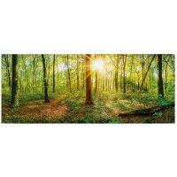 A.S. Cr&eacute;ation Leinwandbild Deep forest...