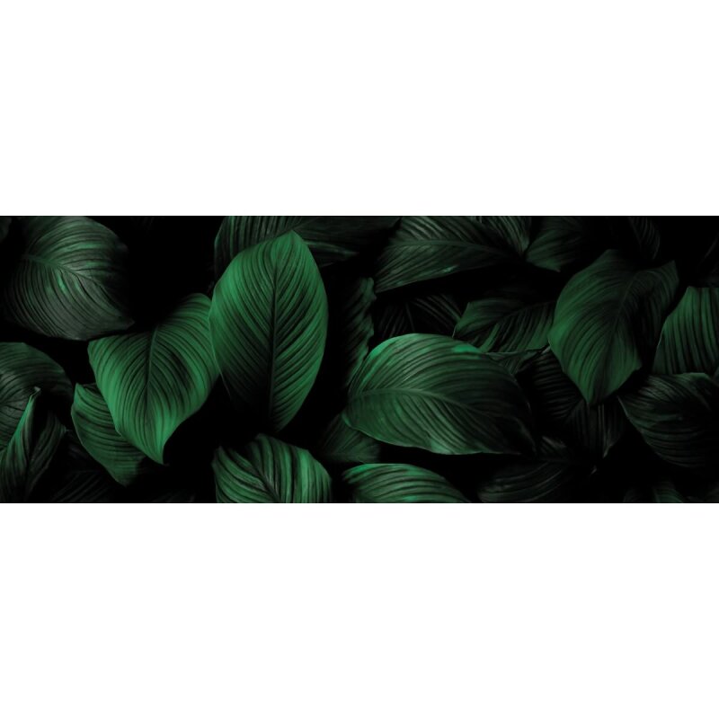 A.S. Création Leinwandbild LeavesBackgrou Größe 100cm x 40cm
