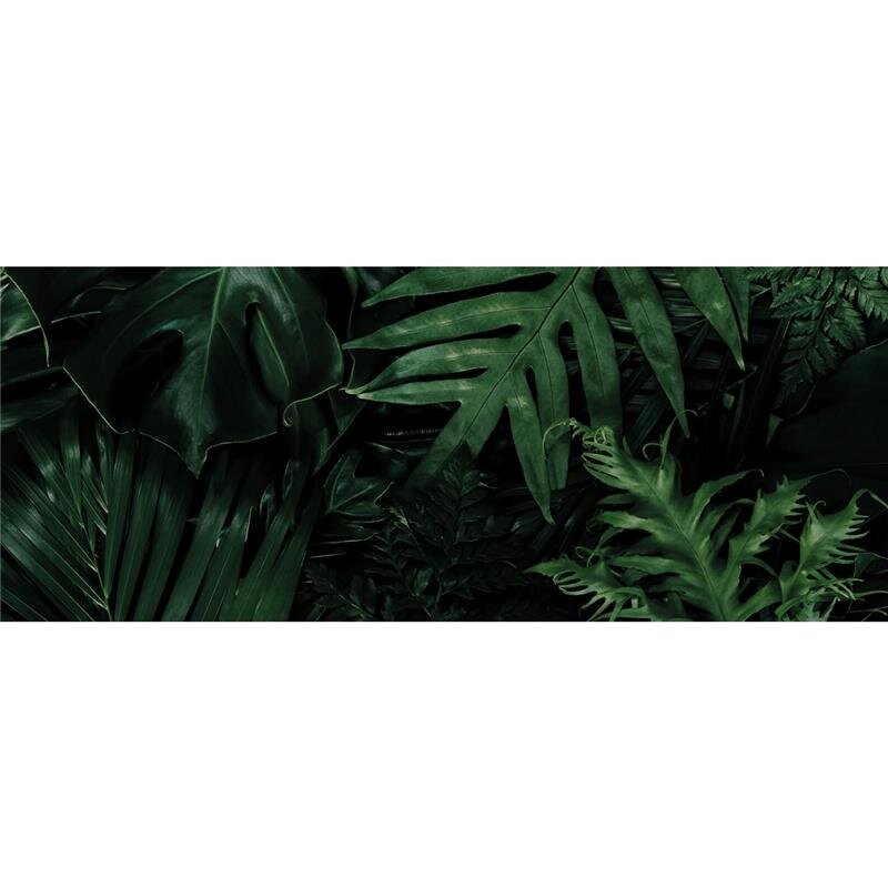 A.S. Création Leinwandbild MixtureOfPlant Größe 100cm x 40cm